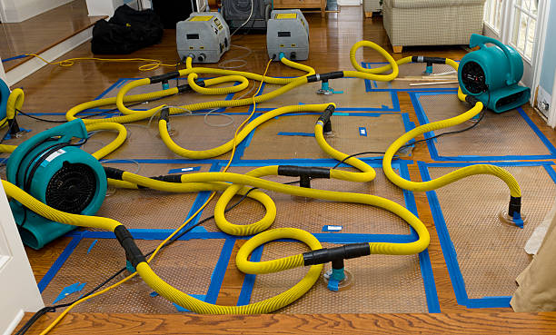 Professional Sewage Cleanup technician working in Knightstown, IN